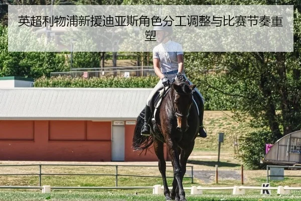 英超利物浦新援迪亚斯角色分工调整与比赛节奏重塑